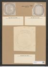 Campylodiscus ecclesianus Grev. (de-Toni-Nr.: Genus 57, Species 2487) Zeichnungen Sammlung Grunow Nr. 4994 (NHMW-BOT-W0373238)